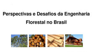 WORKSHOP DA COORDENADORIA DE CÂMARAS ESPECIALIZADAS DE ENGENHARIA FLORESTAL – CCEEF