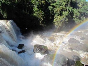 A STCP ESTÁ REALIZANDO O PLANO DE AÇÕES E ESTRATÉGIAS PARA A BIODIVERSIDADE DE TOLEDO – PR