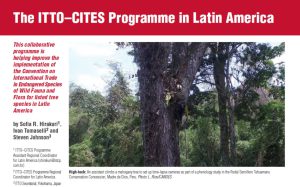 RESULTADO DO PROGRAMA ITTO-CITES NA AMÉRICA LATINA COORDENADO PELA STCP É PUBLICADO EM REVISTA INTERNACIONAL