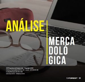 ANÁLISE MERCADOLÓGICA DA STCP PARA A REVISTA ELETRÔNICA B.FOREST – AGO/2017