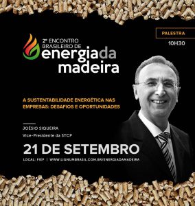 JOÉSIO D. P. SIQUEIRA, VICE-PRESIDENTE DA STCP, PARTICIPA DO 2º ENCONTRO BRASILEIRO DE ENERGIA DA MADEIRA