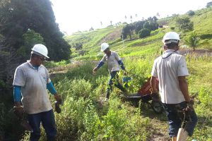 STCP REALIZA EVENTO DE LANÇAMENTO DO PLANTIO DE RAD NAS APP EM SERGIPE