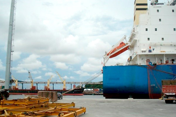 OPÇÕES PARA MELHORAR A RENTABILIDADE DO NEGÓCIO FLORESTAL