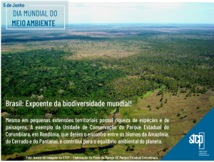 Dia Mundial do Meio Ambiente