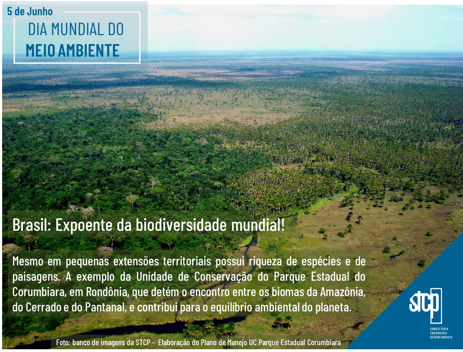 Dia Mundial do Meio Ambiente