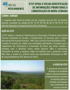 Mês do Meio Ambiente – STCP