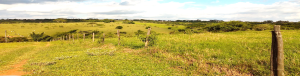 STCP APRESENTA PLANO DE MANEJO DA ÁREA DE PROTEÇÃO AMBIENTAL MUNICIPAL DO RIO BATALHA, EM BAURU/SP