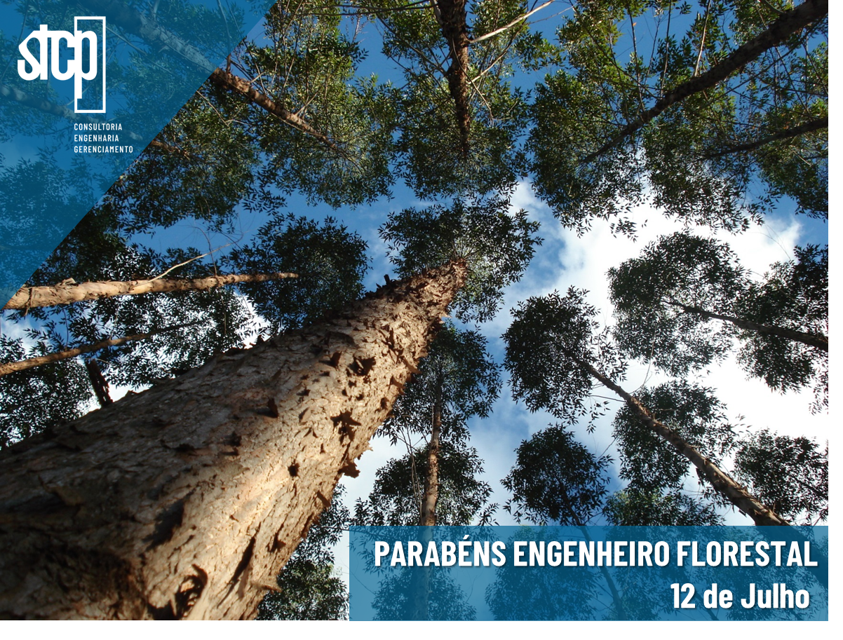 12 DE JULHO – DIA DO ENGENHEIRO FLORESTAL