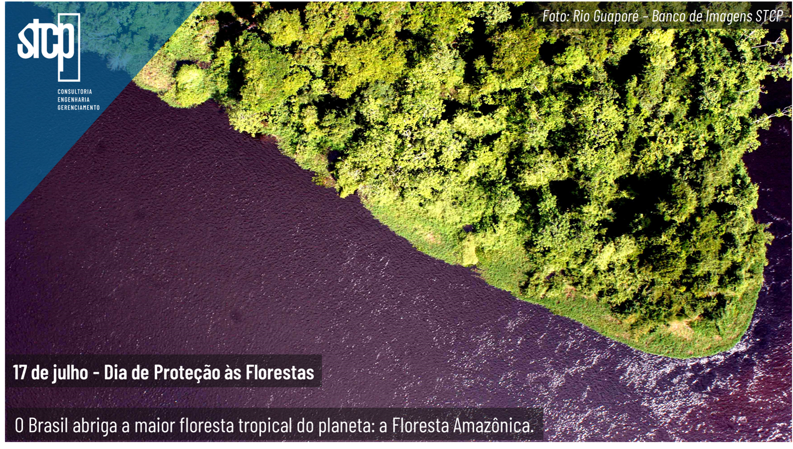 DIA DE PROTEÇÃO ÀS FLORESTAS