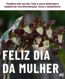 8 DE MARÇO – DIA DA MULHER!