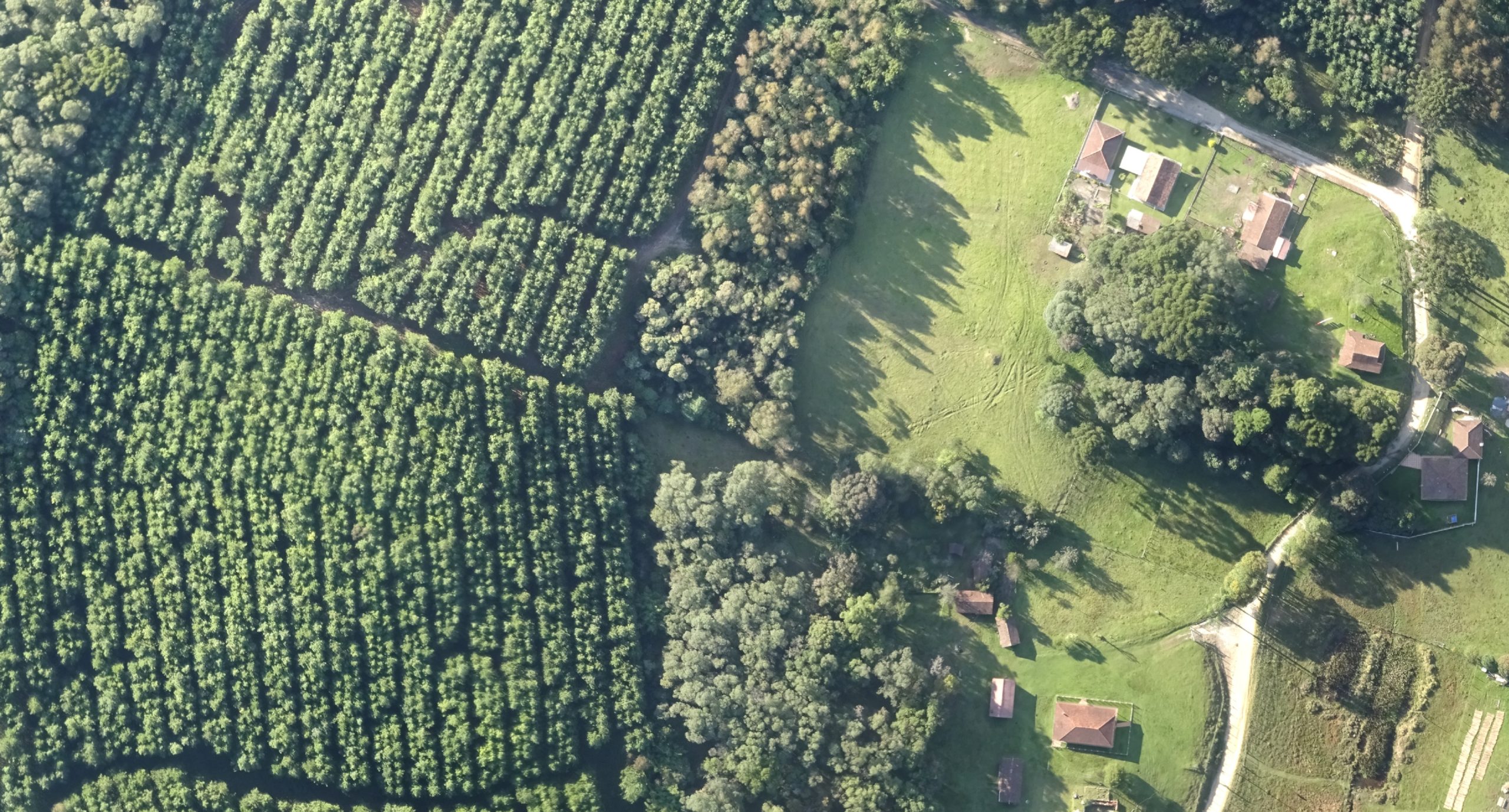 VENDA DE TERRAS PARA ESTRANGEIROS