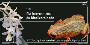 CONTRIBUIÇÕES STCP PARA A BIODIVERSIDADE