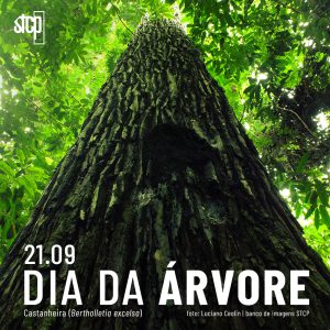 21.09 | Dia da Árvore