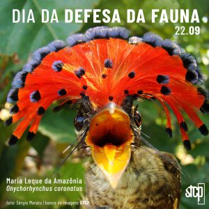 22.09 | DIA NACIONAL DE DEFESA DA FAUNA