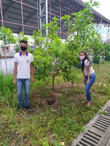 Projeto Arborizar-SE cresce em escola estadual de Itabaiana/SE
