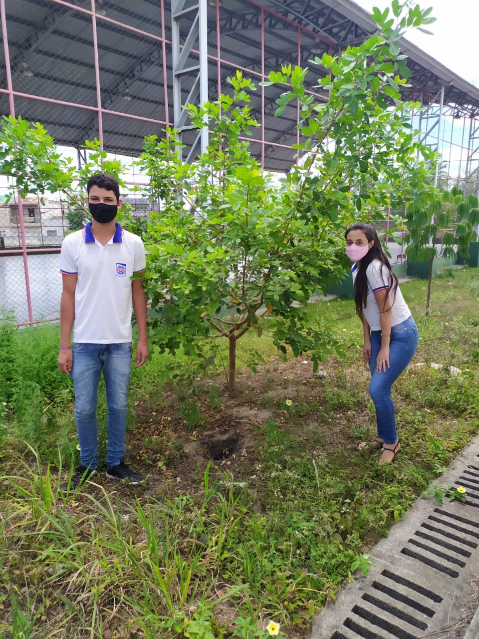 Projeto Arborizar-SE cresce em escola estadual de Itabaiana/SE