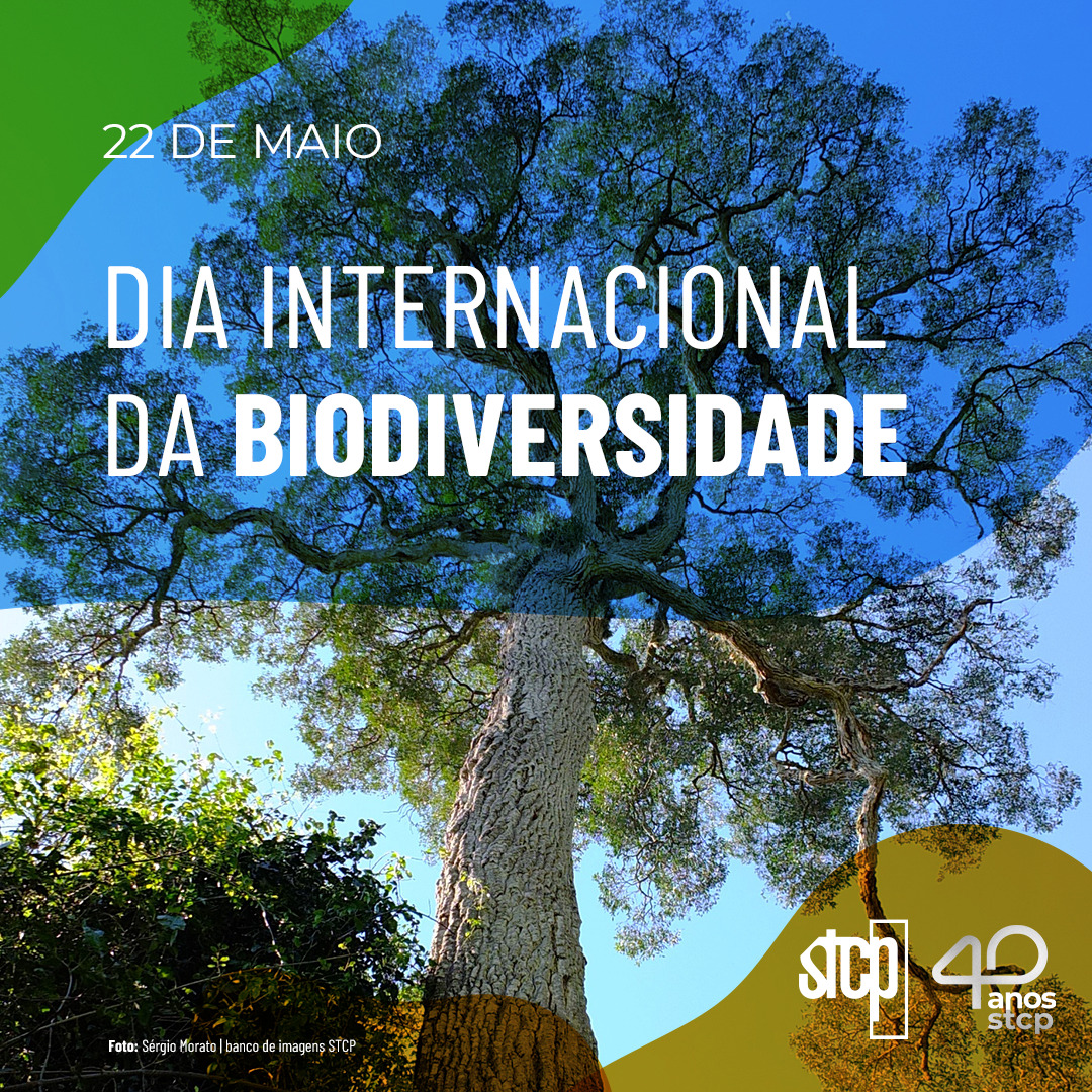 DIA INTERNACIONAL DA BIODIVERSIDADE