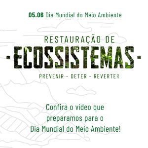 DIA MUNDIAL DO MEIO AMBIENTE