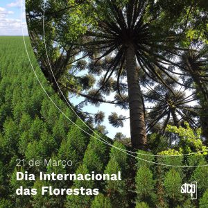 21.03 | Dia Internacional das Florestas