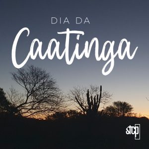 28.04 | DIA DA CAATINGA