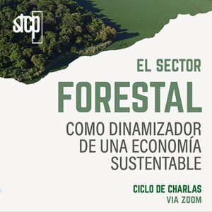 EVENTO SOBRE SETOR FLORESTAL NO PARAGUAI