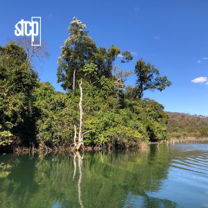 STCP PARTICIPA DE CONSULTA PÚBLICA EM GOIÁS