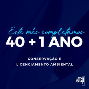 SÉRIE 41 ANOS STCP | PARTE 3