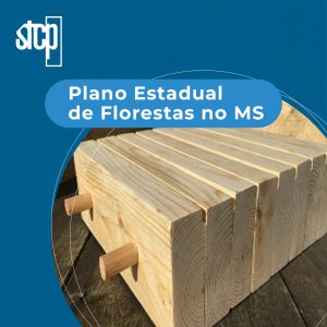 PLANO ESTADUAL DE FLORESTAS NO MS