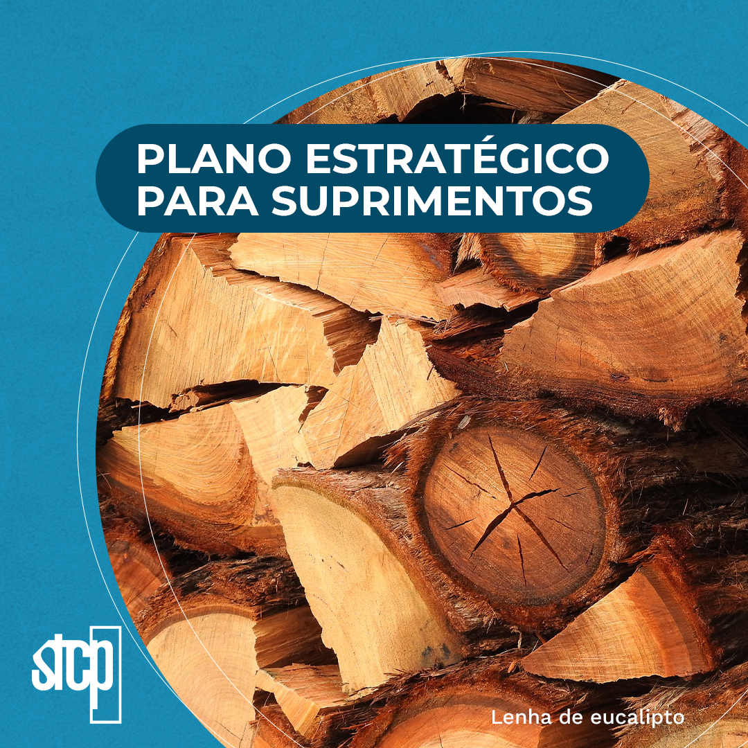 PLANO ESTRATÉGICO PARA SUPRIMENTOS