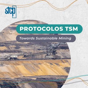 TOWARDS SUSTAINABLE MINING – TSM