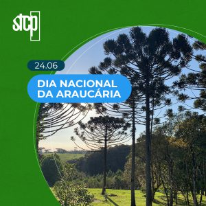 24.06 | DIA NACIONAL DA ARAUCÁRIA