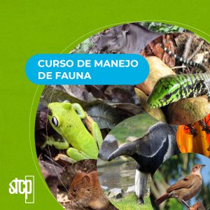 CURSO DE MANEJO DE FAUNA