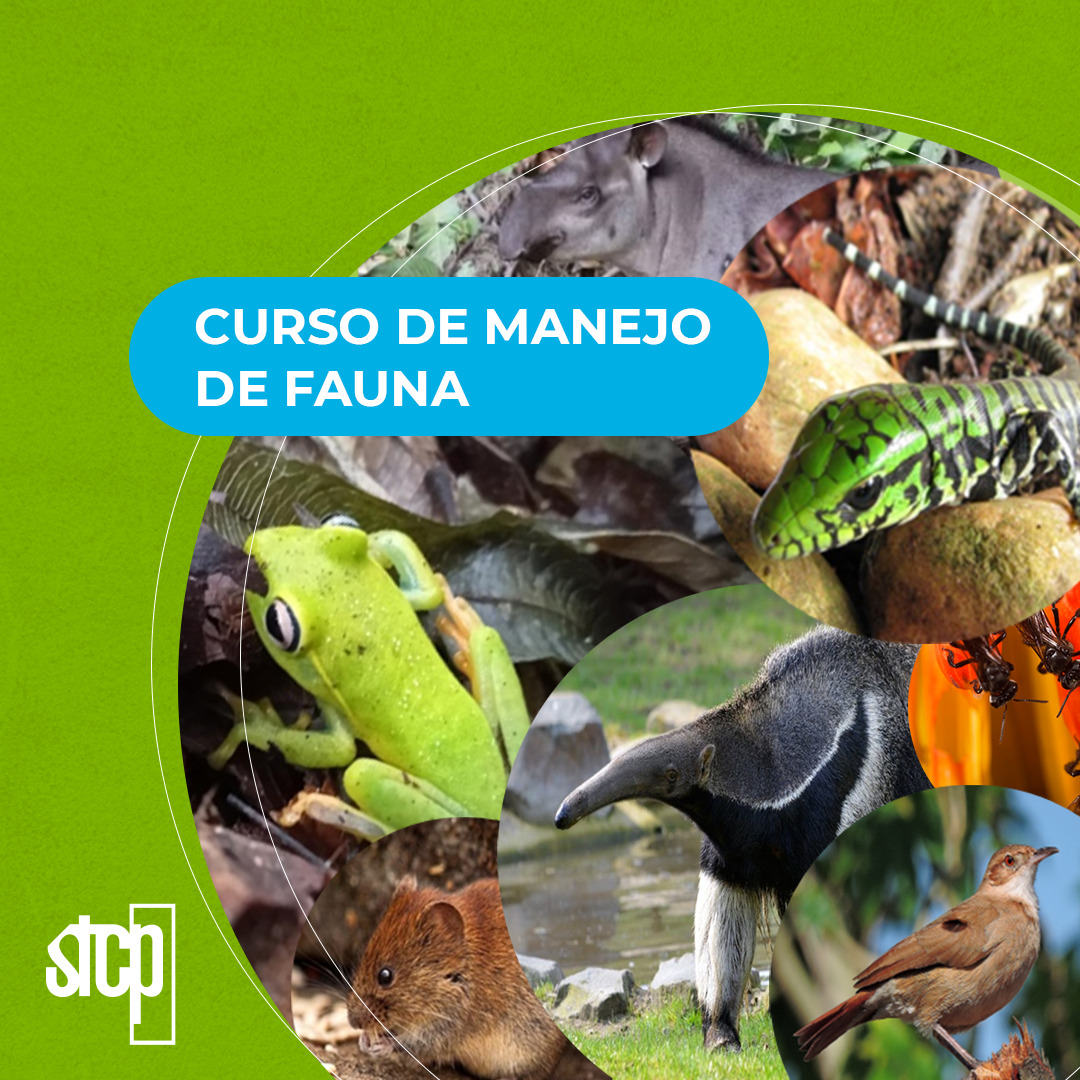 CURSO DE MANEJO DE FAUNA