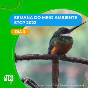 SEMANA DO MEIO AMBIENTE STCP – DIA 3