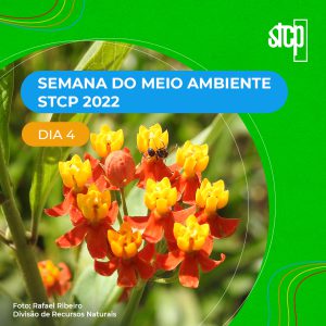 SEMANA DO MEIO AMBIENTE STCP – DIA 4