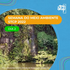 SEMANA DO MEIO AMBIENTE STCP – DIA 2
