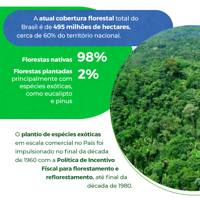 ga_st_0704_22_dia_engenheiro_florestal_INSTA_01Artboard-4