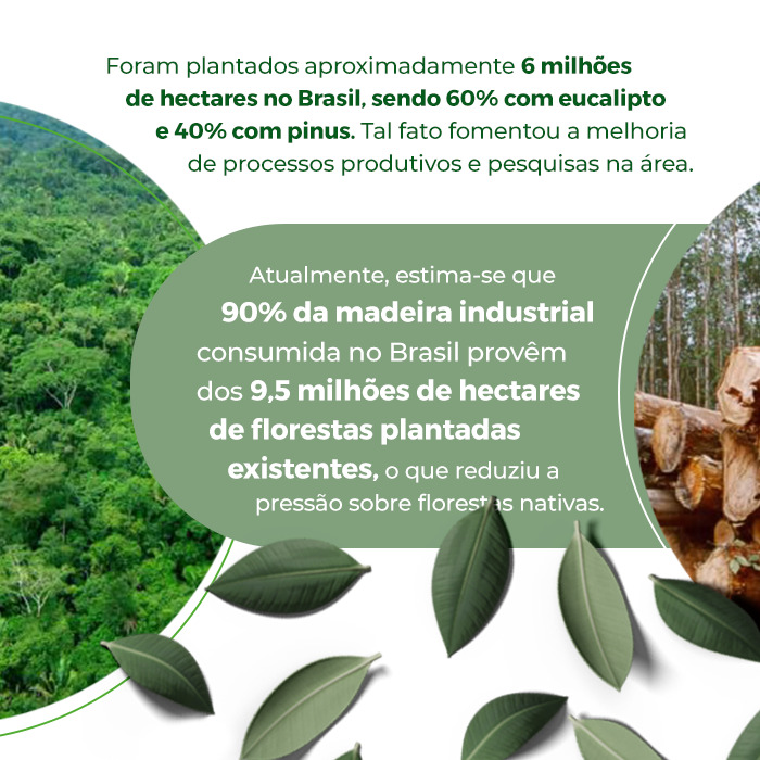 ga_st_0704_22_dia_engenheiro_florestal_INSTA_01Artboard-5