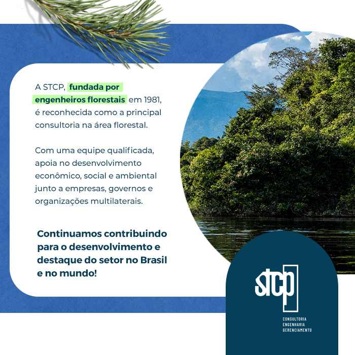 ga_st_0704_22_dia_engenheiro_florestal_INSTA_01Artboard-7