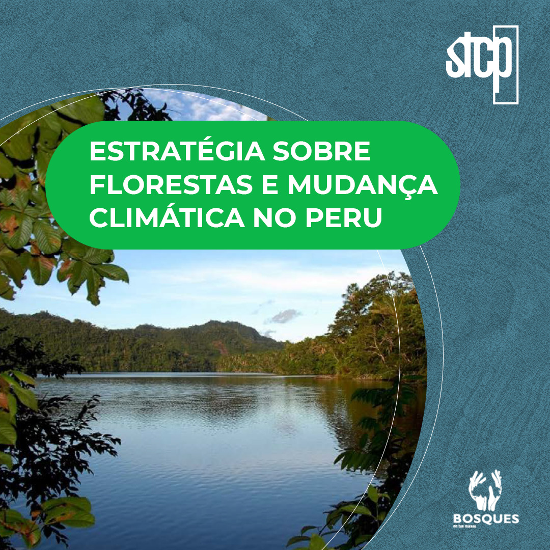 ESTRATÉGIA SOBRE FLORESTAS E MUDANÇA CLIMÁTICA NO PERU