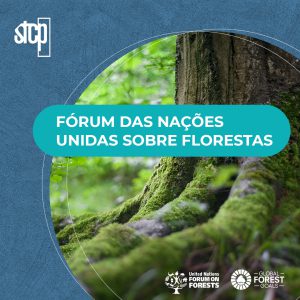 FÓRUM DAS NAÇÕES UNIDAS SOBRE FLORESTAS