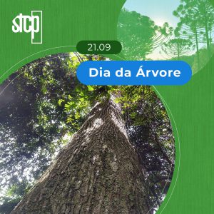 21.09 | DIA DA ÁRVORE