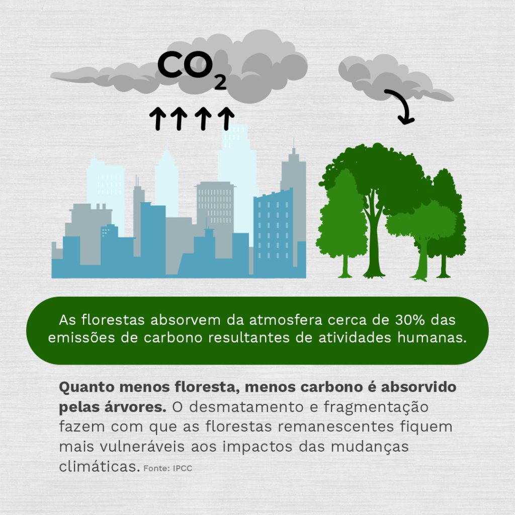 Esquema CO2