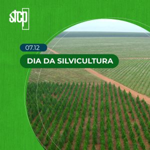 07.12 | DIA DA SILVICULTURA