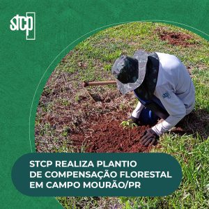 STCP REALIZA PLANTIO DE COMPENSAÇÃO FLORESTAL EM CAMPO MOURÃO/PR