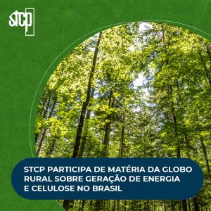 STCP PARTICIPA DE MATÉRIA DA GLOBO RURAL SOBRE GERAÇÃO DE ENERGIA E CELULOSE NO BRASIL