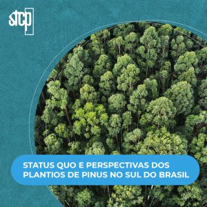 STATUS QUO E PERSPECTIVAS DOS PLANTIOS DE PINUS NO SUL DO BRASIL