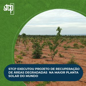 STCP EXECUTOU PROJETO DE RECUPERAÇÃO DE ÁREAS DEGRADADAS NA MAIOR PLANTA SOLAR DO MUNDO
