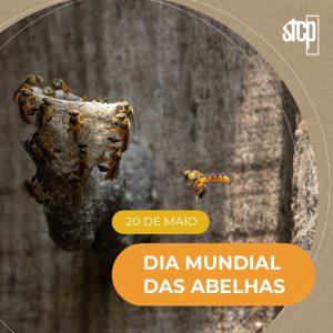 20.05 | DIA MUNDIAL DAS ABELHAS