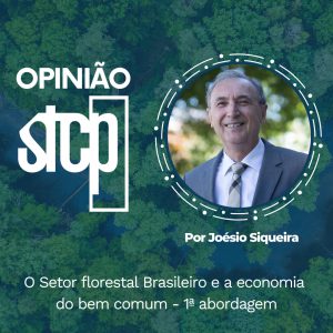 OPINIÃO STCP | O SETOR FLORESTAL BRASILEIRO E A ECONOMIA DO BEM COMUM – 1ª ABORDAGEM